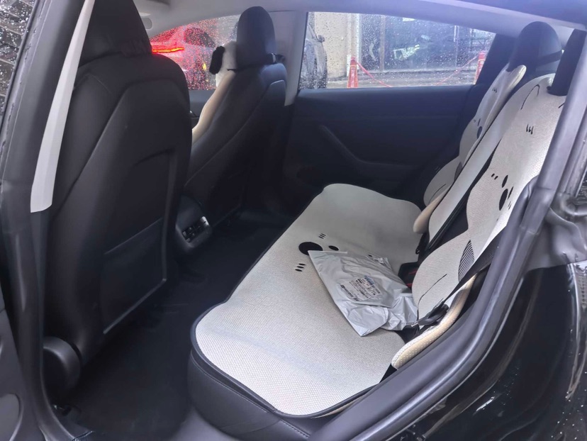Tesla Model 3 2023 car image #7