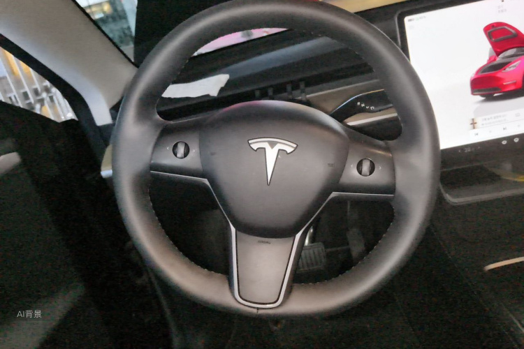 Tesla Model Y 2022 car image #12