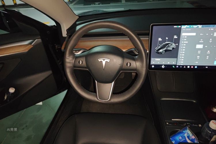 Tesla Model 3 2021 car image #12