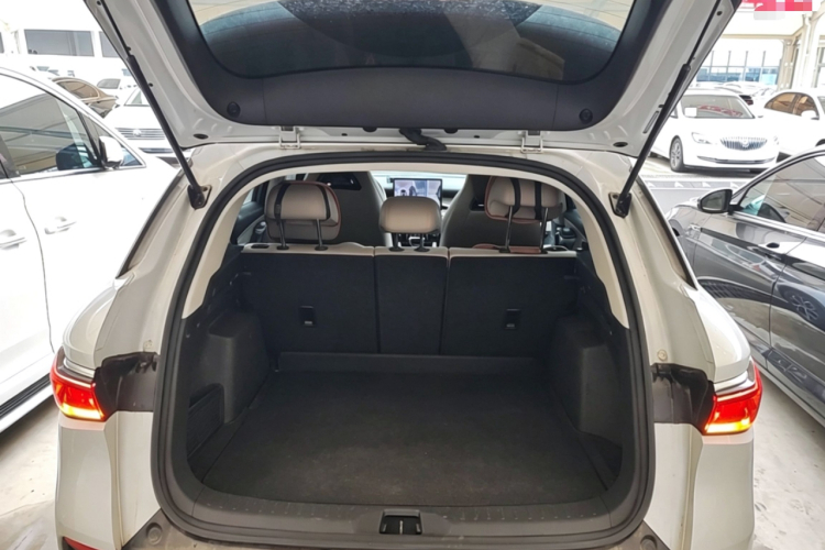 BYD Yuan Plus 2023 car image #21
