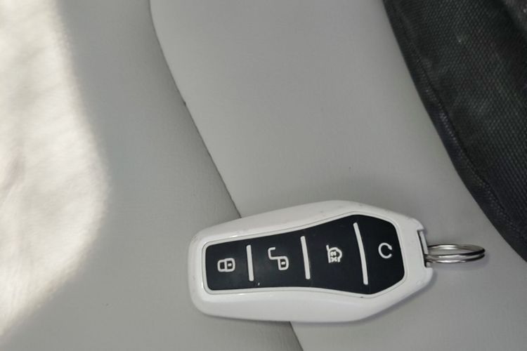 BYD Yuan Pro 2021 immagine di auto #9