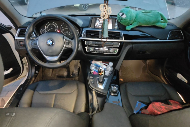 BMW 3 Series 2017 car image #11