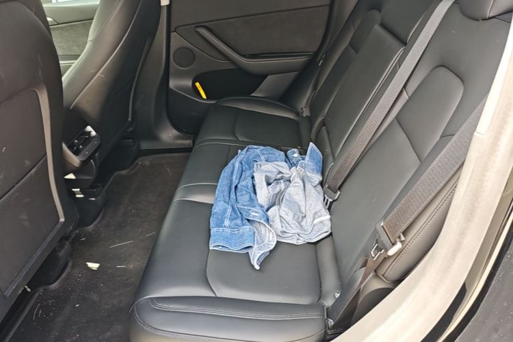 Tesla Model Y 2021 immagine di auto #17