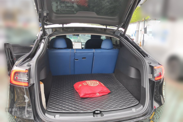 Tesla Model Y 2023 car image #21