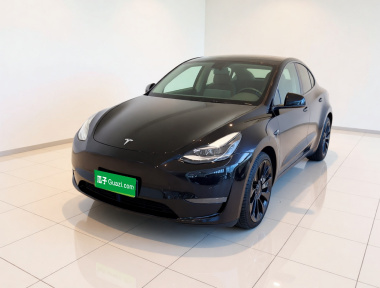 Tesla Model Y 2023 car image 