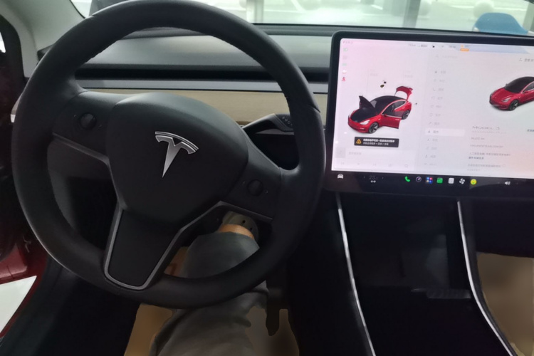 Tesla Model 3 2020 car image #11