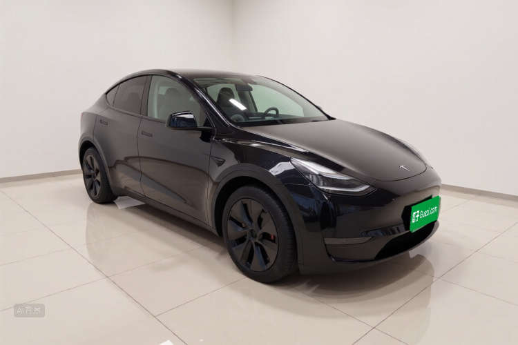 Tesla Model Y 2023 car image #4