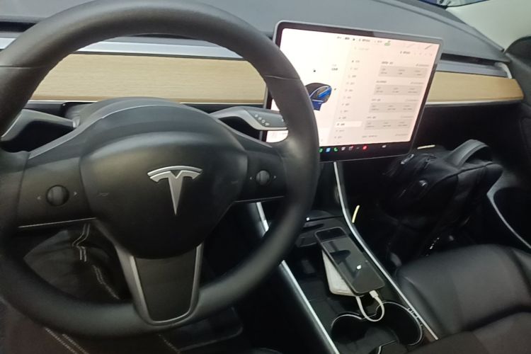 Tesla Model 3 2020 car image #10