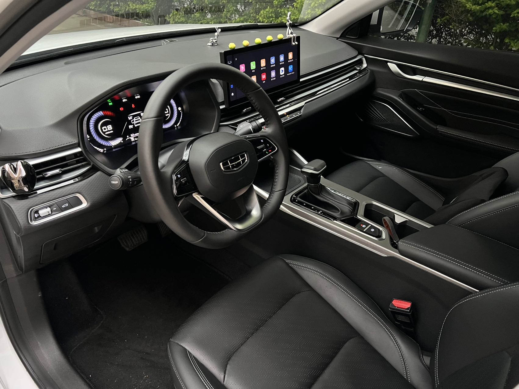 GEELY Emgrand 2024 immagine di auto #4