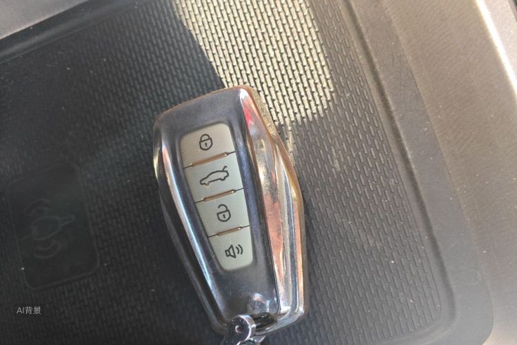 GEELY Emgrand 2021 immagine di auto #10