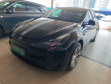 Tesla Model Y 2022 Tesla Model Y 2022 car image