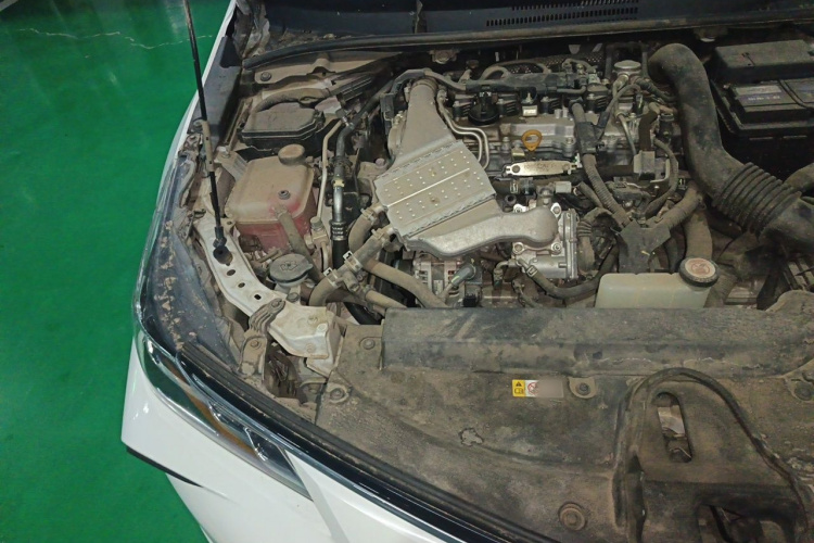 Toyota Corolla 2021 #24 Toyota Corolla 2021 car image #24