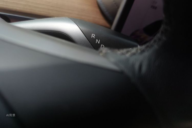 Tesla Model 3 2021 car image #16