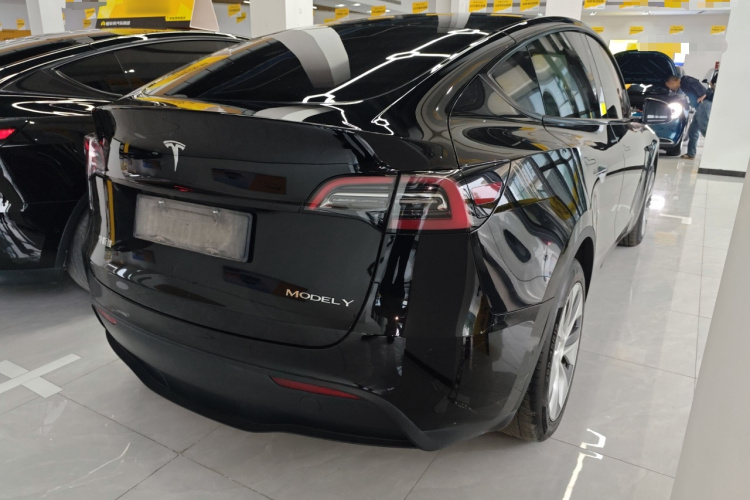 Tesla Model Y 2023 #5 Tesla Model Y 2023 car image #5