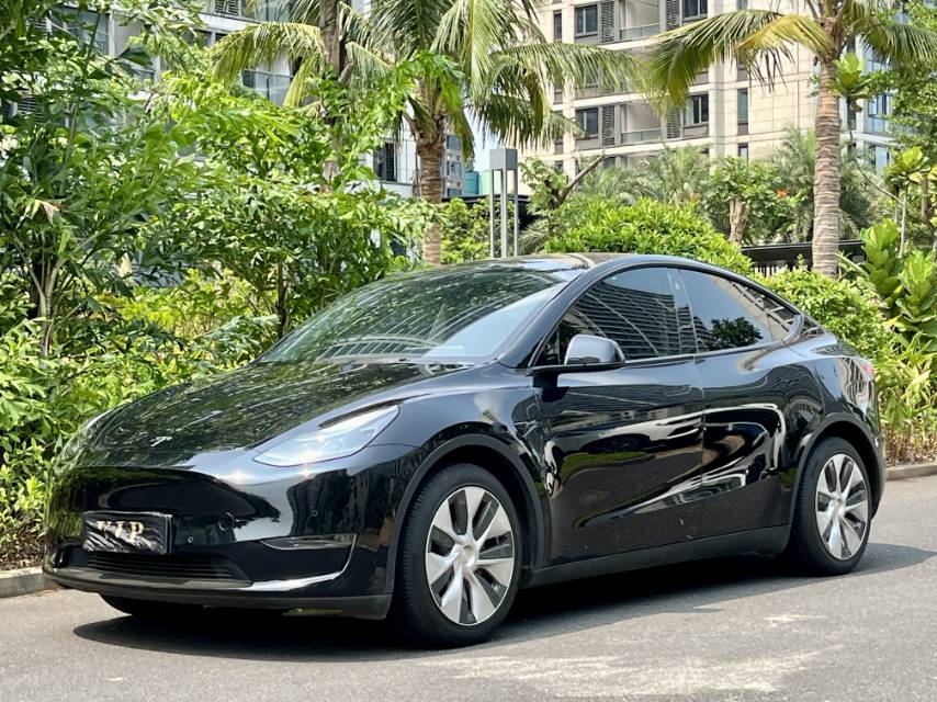 Tesla Model Y 2021 car image 
