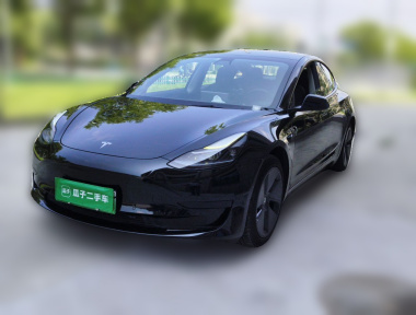 Tesla Model 3 2021 car image 