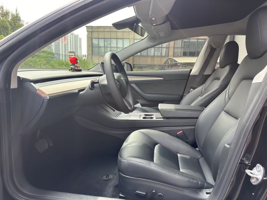 Tesla Model 3 2021 car image #3