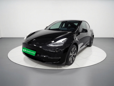 Tesla Model Y 2021 Tesla Model Y 2021 car image