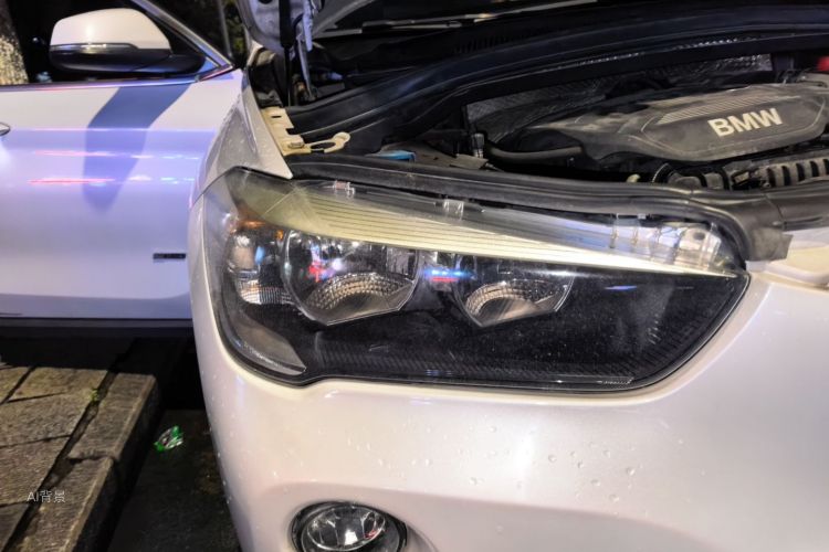 BMW X1 2016 car image #8