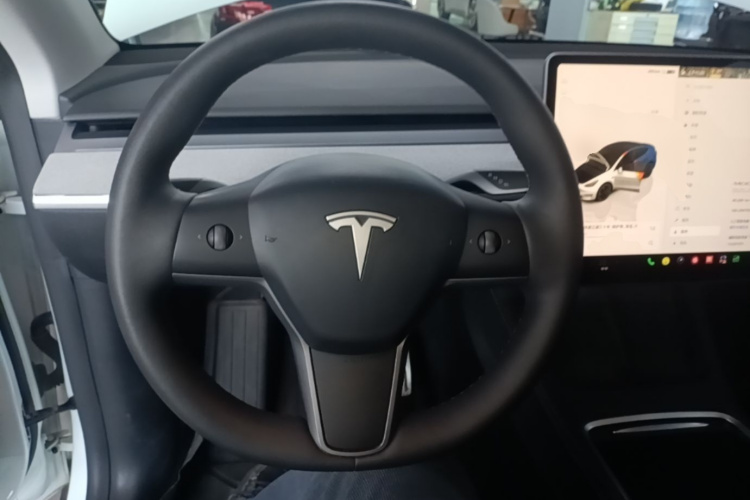 Tesla Model Y 2023 car image #15
