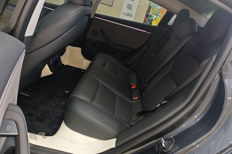 Tesla Model 3 2024 #17 Tesla Model 3 2024 car image #17