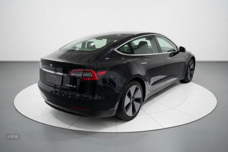 Tesla Model 3 2021 #7 Tesla Model 3 2021 car image #7