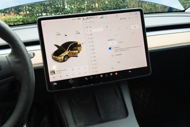 Tesla Model Y 2021 #17 Tesla Model Y 2021 car image #17