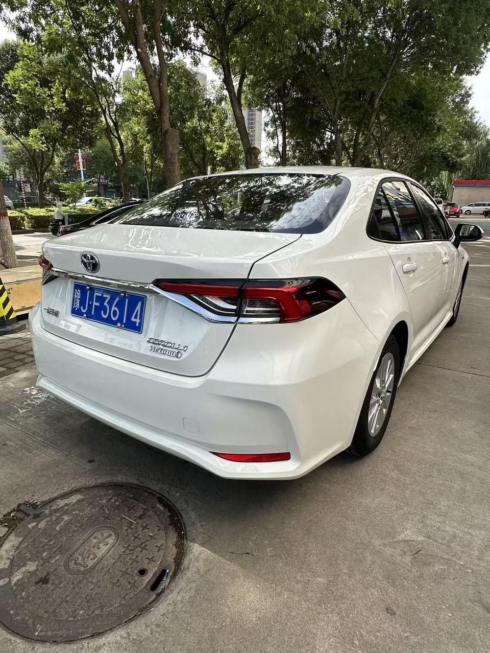 Toyota Corolla 2024 car image #6