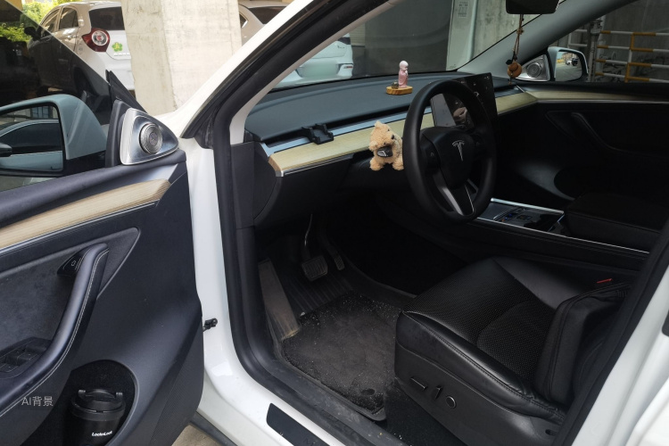 Tesla Model Y 2023 car image #18