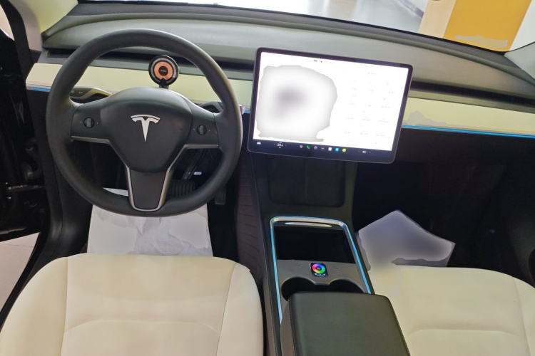 Tesla Model Y 2021 car image #10