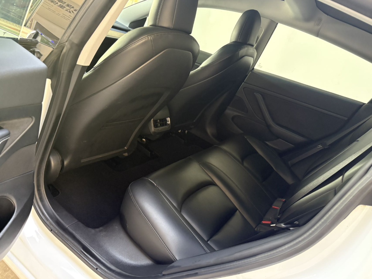Tesla Model 3 2020 #5 Tesla Model 3 2020 car image #5