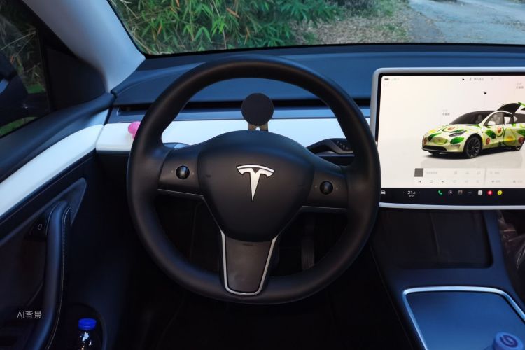 Tesla Model Y 2023 #12 Tesla Model Y 2023 car image #12