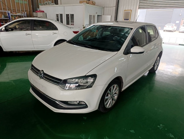 Volkswagen Polo 2016 Volkswagen Polo 2016 car image