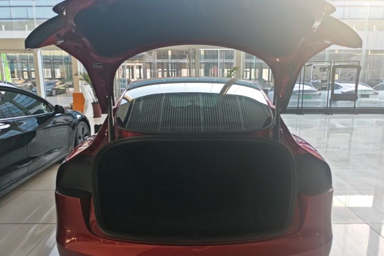 Tesla Model 3 2024 immagine di auto #19
