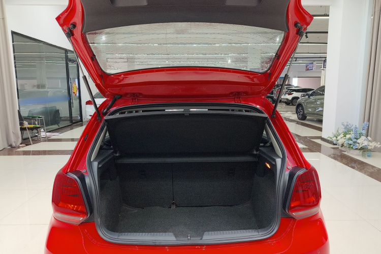 Volkswagen Polo 2014 car image #23