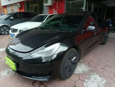 Tesla Model 3 2022 Tesla Model 3 2022 car image