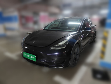 Tesla Model 3 2020 Tesla Model 3 2020 car image