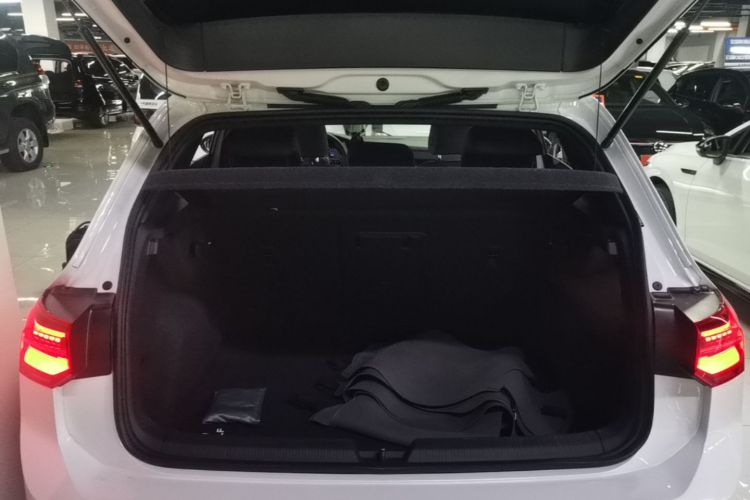 Volkswagen Golf 2024 car image #19