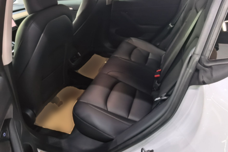 Tesla Model 3 2021 #17 Tesla Model 3 2021 car image #17