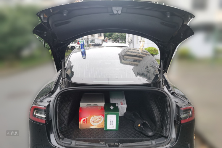 Tesla Model 3 2020 car image #21