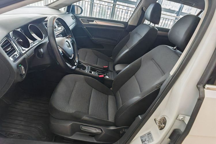 Volkswagen Golf 2019 car image #13