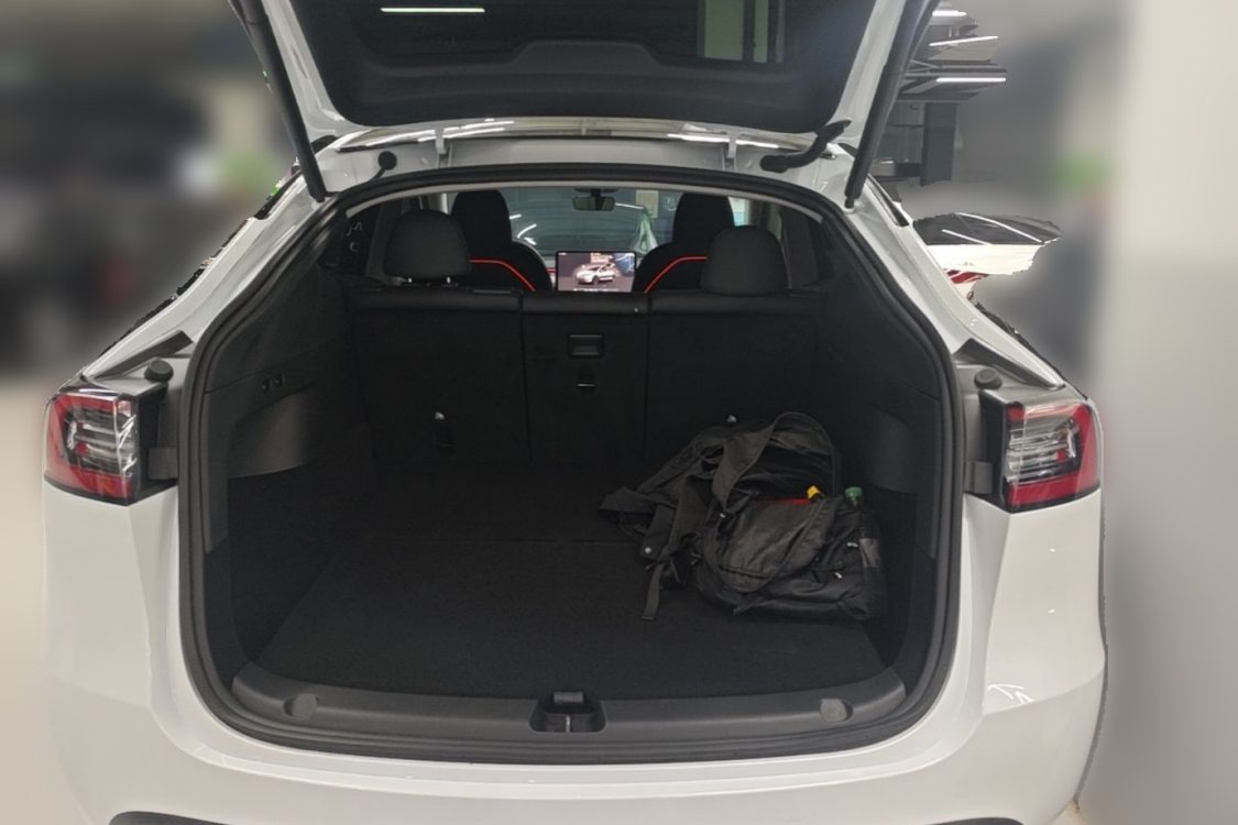 Tesla Model Y 2024 car image #10