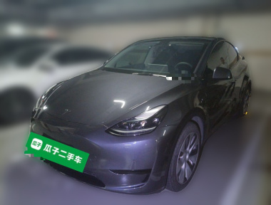 Tesla Model Y 2022 car image 