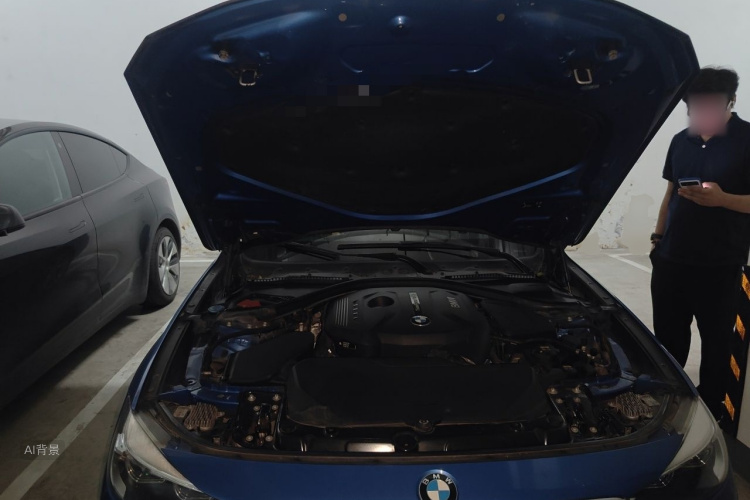 BMW 3 Series GT 2019 car image #22