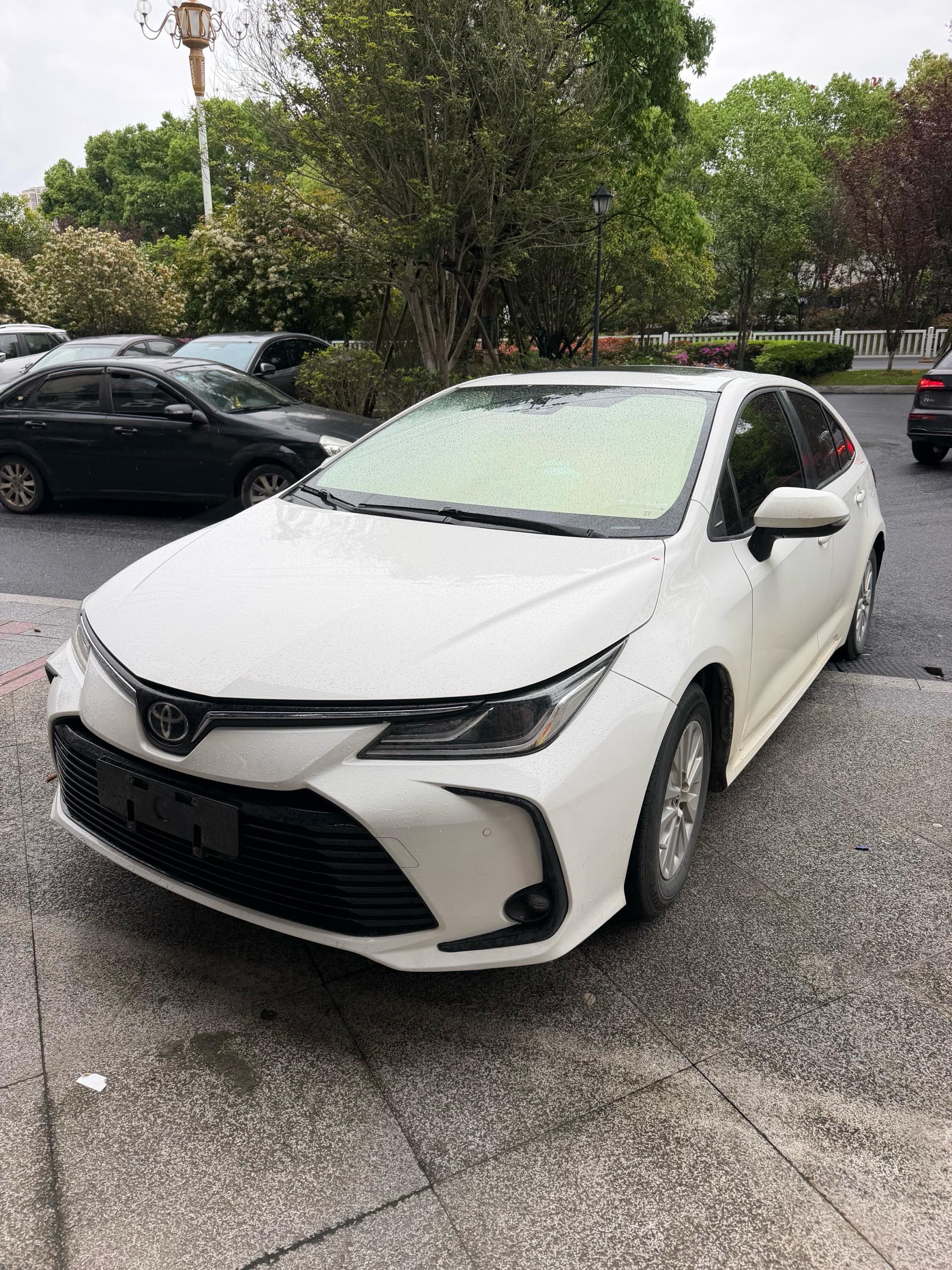 Toyota Corolla 2022 Toyota Corolla 2022 car image