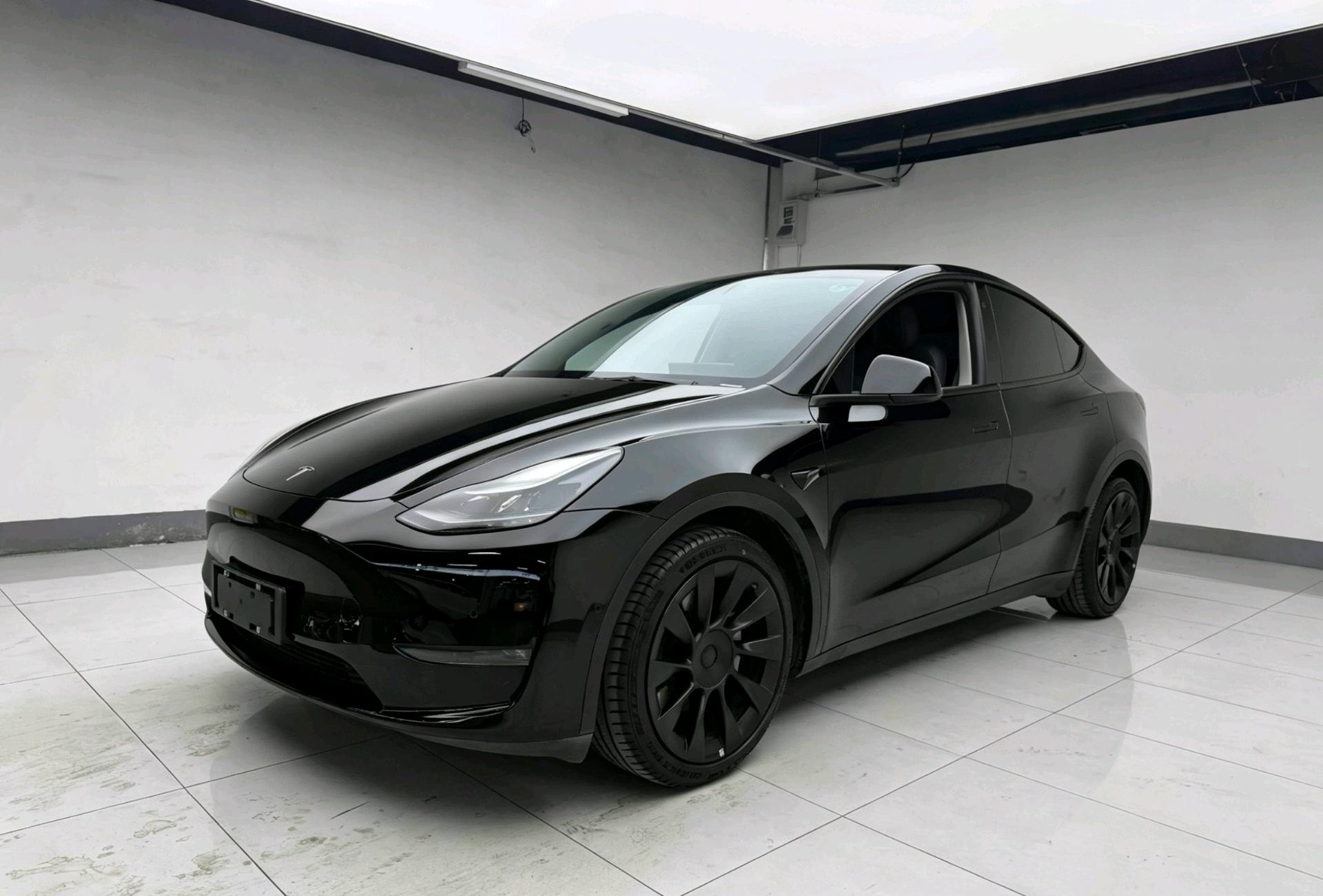 Tesla Model Y 2021 car image 