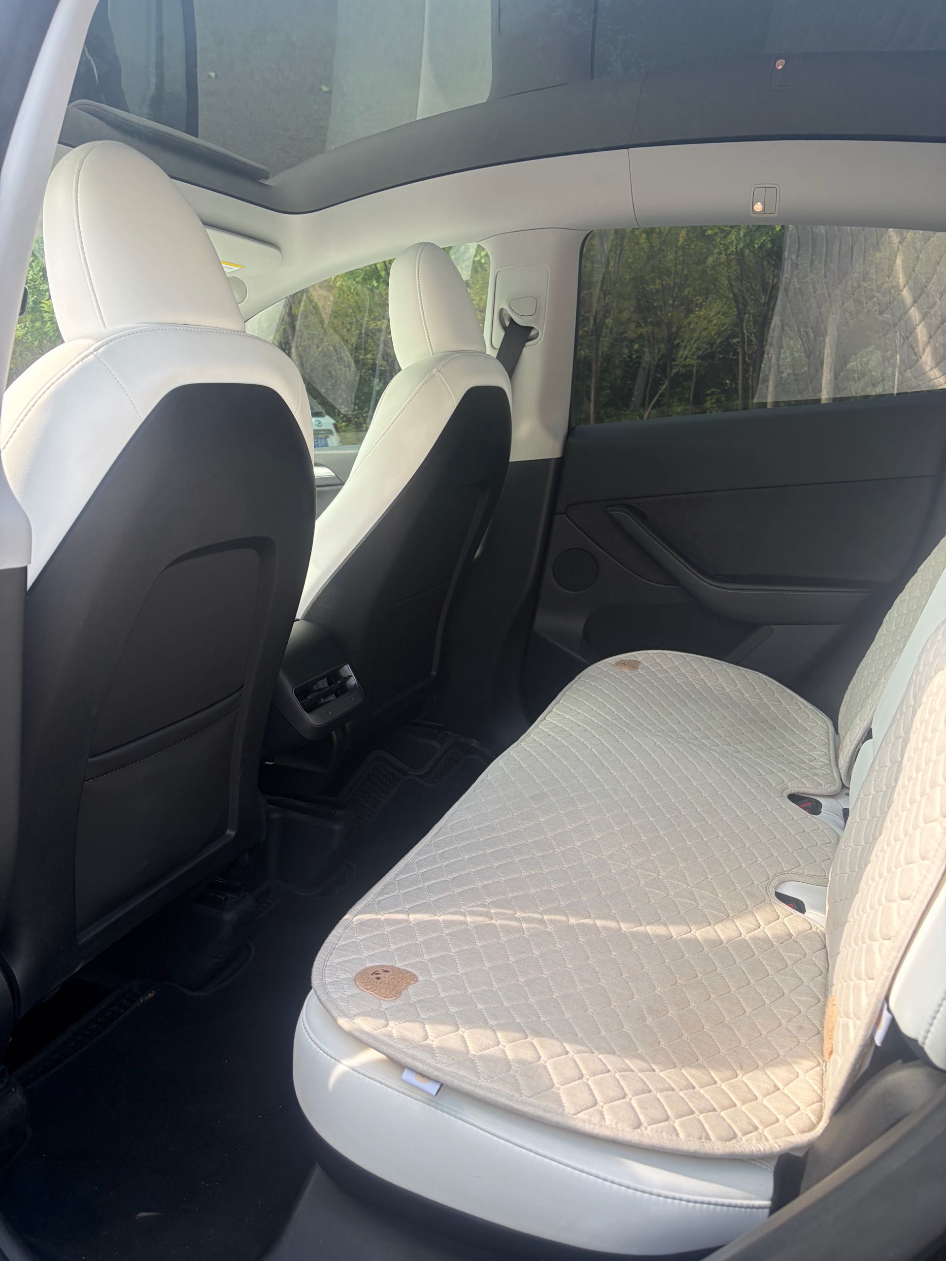 Tesla Model Y 2023 immagine di auto #3