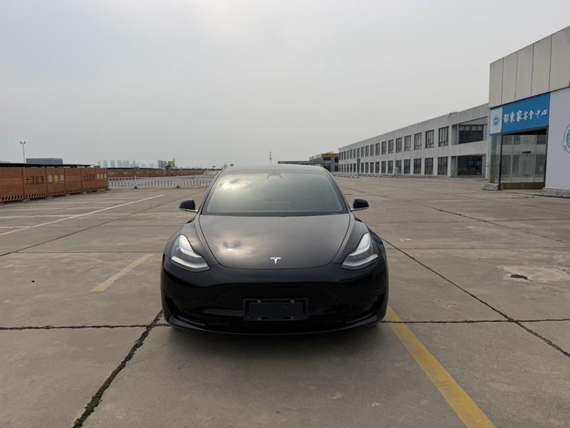 Tesla Model 3 2020 car image #2