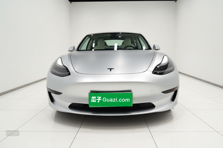 Tesla Model 3 2021 #3 Tesla Model 3 2021 car image #3