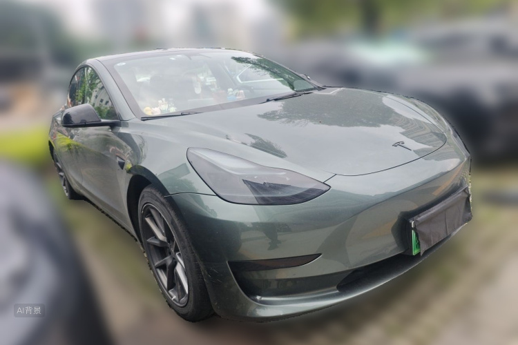 Tesla Model 3 2021 car image #4